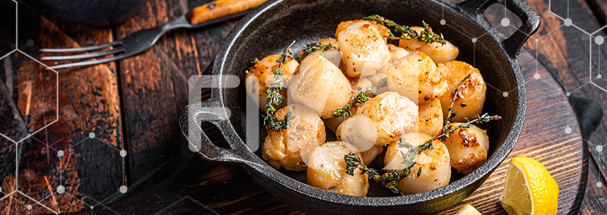 Scallops in aromatic sauce